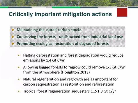 探讨伐木活动导致的森林活性碳流失现象及其对全球气候变化减缓努力的影响,深入分析其机制与应对策略,强调保护森林碳储量的重要性。
