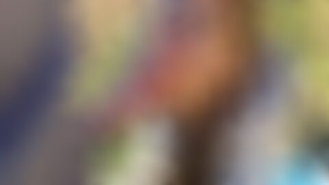 围绕XVIDEOS及所谓"xxx"视频的行业现状、用户安全、创作者提升流量与合规风险管理等角度进行全面解析,帮助读者在保障隐私与合法性的前提下理解成人内容平台生态与运营要点。
