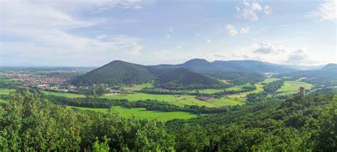 深入了解法国大东部地区SNCF TER列车服务的时刻表、实时交通信息、便捷的车票购买方式以及多样的订阅方案,助力旅客高效出行、畅享优质铁路体验。本文为您全面解读相关服务内容与实用技巧。
