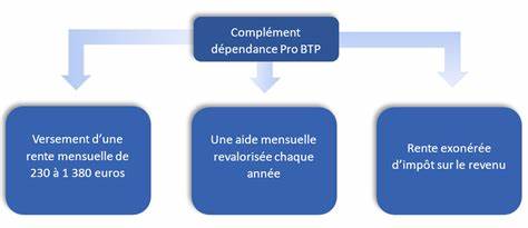 本文深入探讨了PRO BTP依赖保险的保障范围、用户实际体验及市场争议,帮助读者全面了解依赖保险产品的优缺点,助力理性选择适合自身的保障方案。
