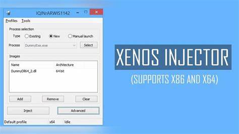 详细介绍了Xenos Injector v2.3.2版本的功能升级与使用技巧,深度剖析其在游戏修改和注入技术中的应用价值,帮助玩家更好地理解和使用这一工具。
