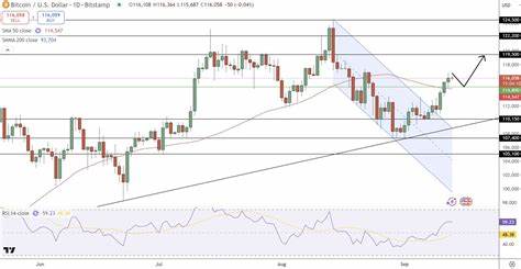 本文深入探讨迈克尔·塞勒独特的比特币投资策略及其对市场的深远影响,通过链上数据揭示更多机构和鲸鱼钱包的比特币积累趋势,分析这一策略是否正在成为企业和机构投资者的普遍选择,并展望未来比特币价格的潜力趋势。
