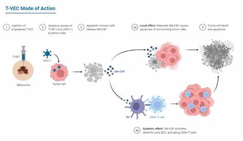 了解Rust标准库中Vec<T>的内部结构,揭示其多层封装设计如何实现高效且安全的动态数组管理,帮助开发者深入掌握Rust内存管理的核心机制。
