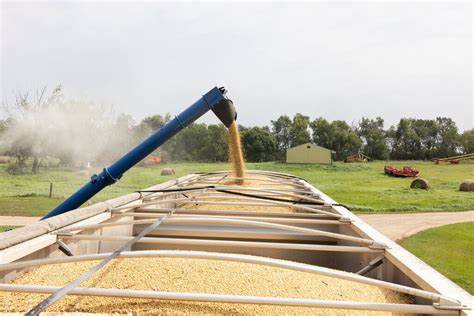 随着中国停止购买美国大豆,美国大豆农民面临前所未有的危机,农产品积压、农场收入锐减及土地价值下跌成为现实,贸易争端对农业经济带来深远影响。本文深入探讨中美贸易摩擦对美国大豆产业带来的挑战及未来可能走向。
