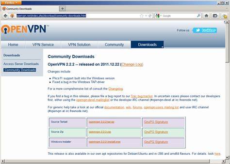 介绍 build.openvpn.net 上 /downloads/releases/ 索引的结构、文件类型、签名验证方法与安装选择建议,帮助用户在多版本、多平台之间做出安全且合适的下载决策
