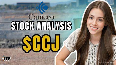 随着全球对清洁能源需求的不断增长,核能行业重新受到关注。本文深入解析卡梅科公司在核能产业链中的地位,分析其股票表现及未来投资价值,帮助投资者做出明智决策。
