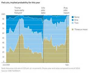 深入解析交易员对于未来利率趋势的看法,探讨影响利率变动的关键因素及其对全球经济和投资环境的广泛影响。本文结合最新市场数据和专家观点,揭示利率走势背后的驱动力和潜在风险。
