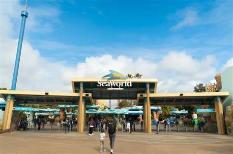 深入了解圣地亚哥海洋世界,体验独特的海洋生物展览与刺激的娱乐项目,规划您的完美旅行,享受难忘的海洋探险之旅。
