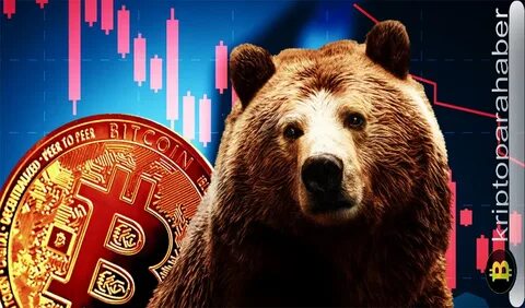 Warum fällt der Bitcoin?