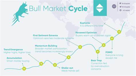 Crypto Bull Cycle Nears Peak: Key Signals Point To Massive Gains Ahead - TronWeekly