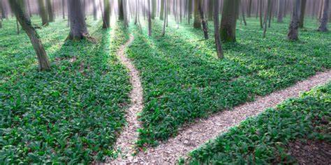 随着Linux内核生态面临挑战,Managarm、Asterinas与Xous三大替代内核崛起,为软件开发者提供了全新选择和可能性。本文深入探讨这三大内核的核心特点与发展前景,揭示未来操作系统的多样化趋势。
