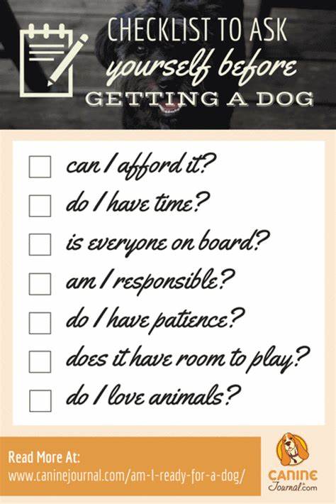 Are you ready for a dog?