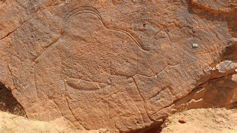 纳福德沙漠的石刻惊艳考古学:揭示一万两千年前人类如何重返沙漠
