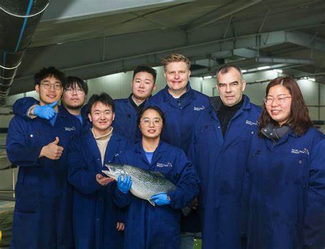 北欧水产伙伴(Nordic Aqua Partners)近期获得来自中国的战略投资,推动其在中国宁波的陆基循环水养殖大西洋鲑鱼项目迈向新阶段。此次投资将支持养殖产量大幅提升,并助力打造中国领先的可持续高端水产养殖平台。随着全球对安全、健康海产品需求日益增长,北欧水产伙伴在中国市场的发展前景备受瞩目。
