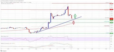 Bitcoin Bounces After Fed Decision - Brave New Coin Insights
