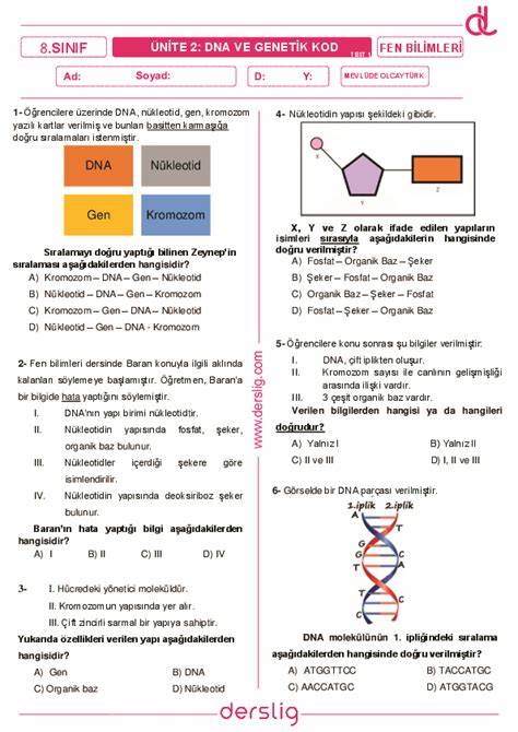 探索8年级科学课程中的DNA结构与遗传密码,详细解析相关测试题目,助力学生掌握基因知识,提升学习效果。内容涵盖DNA分子结构、核苷酸配对规则及遗传信息传递,帮助学生系统理解基因科学基础。
