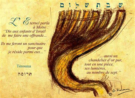 深入解析特鲁玛章节中的重要律法及其象征意义,揭示犹太教圣所建造与宗教仪式背后的神秘智慧与精神内涵,探讨之于现代信仰生活的启示与价值。
