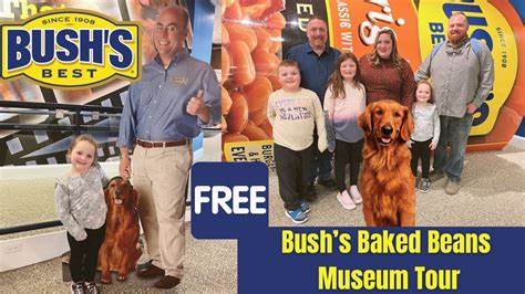 全面介绍 BeanCMS 的设计理念、部署流程、核心功能与实战优化,帮助个人和小团队快速搭建稳定、可维护的自托管博客与笔记站点
