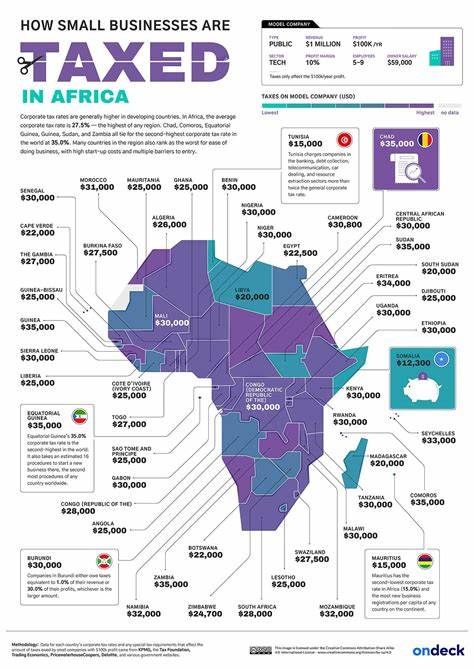 本文深入分析南非小型企业面临的过度征税问题,探讨其对经济发展的影响,并提出可行的政策建议,旨在为创业者和政策制定者提供参考。
