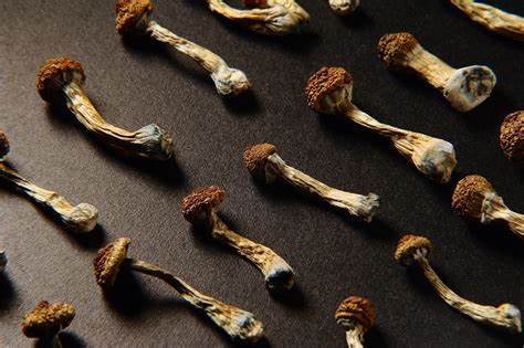 I Tried Magic Mushrooms for My Mental Health. Here's What Happened