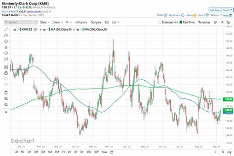 全面剖析金佰利公司(Kimberly-Clark)股票近期的市场表现,相较标普500指数的涨跌趋势及其背后原因,揭示投资者应关注的关键因素与潜在机遇。
