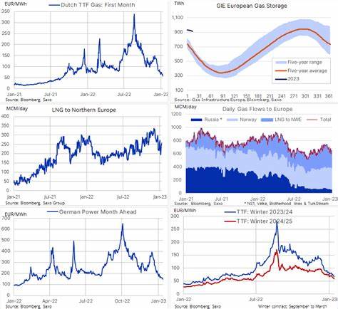 解析欧洲天然气价格走低的多重原因,评估中国需求放缓、全球液化天然气流向、库存水平与能源政策变化对市场的短期与长期影响,为企业与政策制定者提供可操作洞见与应对方向
