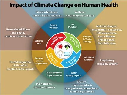 探讨气候变化对人类健康的深远影响,分析关键问题并提供科学应对方案,助力公众和政策制定者理解并应对这一全球性挑战。
