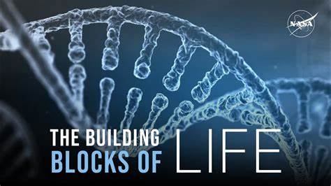 探讨生物大分子如RNA、蛋白质与脂质在地球早期与当代如何通过长寿命而非永久稳定维持生命过程,并分析这种观念对生命起源研究、古环境学、天体生物学与合成生物学的影响与应用
