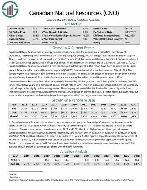 探讨加拿大自然资源公司(CNQ)在天然气和石油行业中的领先地位,解析其低成本结构、稳定资产组合和连续增长的高股息政策,展示其作为优质股息股票的投资价值。
