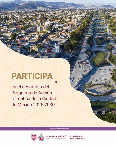 介绍阿尔卡尔迪亚 Benito Juárez 管理的学前发展中心(CENDI)分布、服务、报名流程与育儿建议,帮助家长了解如何为孩子选择合适的早期发展资源并利用社区支持
