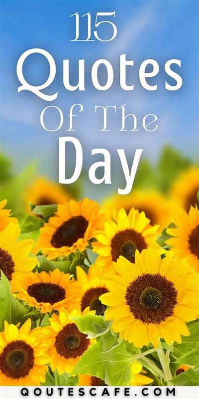 每天一句:115句激励与温暖,点亮你的生活与心灵
