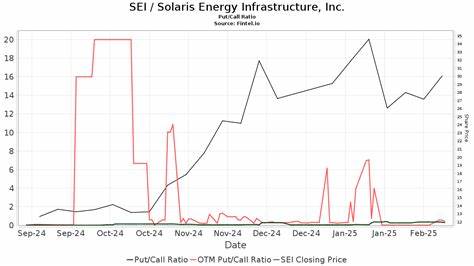 Solaris能源基建(NYSE: SEI)憑藉其在分布式能源解決方案領域的強勁表現,吸引了巴克萊銀行分析師的持續青睞與看好。隨著全球能源結構轉型與電力供需矛盾加劇,該公司未來的成長潛力與市場機遇備受關注。
