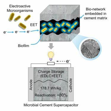 随着可再生能源的快速发展,如何实现大规模且可持续的储能成为关键。生物活性微生物水泥超级电容器融合了微生物电化学技术与传统水泥材料,创造出新型的可激活能量存储系统,为基础设施智能化和能源自主提供创新路径。本文深度解析该技术的科学原理、性能优势及未来应用前景。
