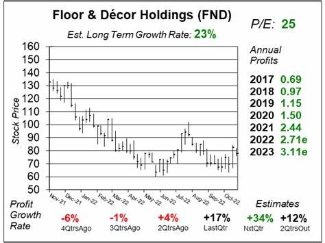 本文全面探讨了Floor & Décor(FND)作为硬质地板及相关配件专业零售商的市场表现、财务状况以及未来长期盈利潜力,帮助投资者理性判断其投资价值和风险。
