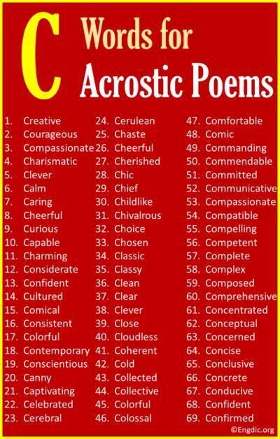 深入探讨C语言的独特魅力,通过一首感人至深的诗歌揭示其坚韧精神与历史价值,激发程序员对经典编程语言的热爱与思考。
