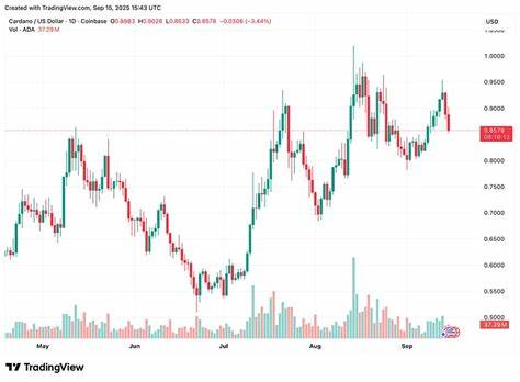 深入解析Solana未来价格走势与Cardano生态系统的最新进展,重点关注Remittix在CertiK KYC认证和Beta钱包测试推动下的显著表现,揭示区块链行业创新带来的机遇与挑战。
