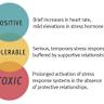 研究表明,童年期的毒性压力暴露不仅会导致青少年出现冒险行为,还可能增加成年后患慢性疾病的风险。本文深入探讨其机制、影响及预防措施,为家长和教育工作者提供科学依据。
