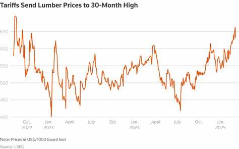 分析特朗普政府新一轮木材关税对国内外市场的冲击,梳理对建筑业、住房成本、制造业和供应链的短中长期影响,并提供可行的应对与政策建议

