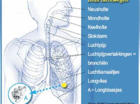 粉尘暴露在工作及日常生活中无处不在,了解其危害及有效的风险降低方法是保护健康的关键。本文详述粉尘的定义、潜在健康影响及如何通过系统性措施减少暴露风险,为企业和个人提供科学指导。
