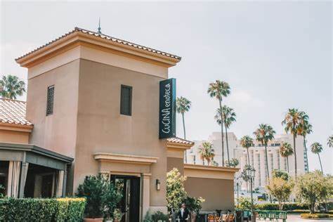 探索纽波特海滩的意大利美食文化,了解当地最受欢迎的19家顶级意大利餐厅,品味正宗传承与创新融合的地道风味,助你在美丽的海滨城市找到完美的用餐地点。
