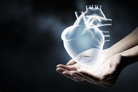 深入分析Maze Therapeutics公司的市场表现、融资动态及临床进展,探讨其在生物医药领域的独特竞争优势及投资潜力,为投资者提供全面的决策参考。
