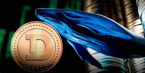 Dogecoin News: -18 %! So reagieren die Krypto-Wale