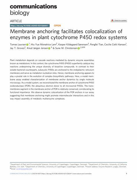 细胞色素P450揭示聚乙烯生物降解新路径:菌群协同与酶学启示
