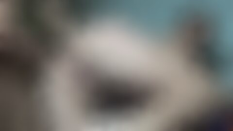 如何安全、合法地访问和参与成人论坛:以XNXX论坛为例的完整指南
