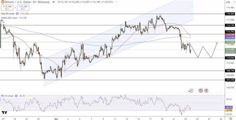 随着摩根士丹利宣布将通过Zerohash平台在其E*Trade系统中加入加密货币交易,比特币市场迎来了重要的里程碑。机构投资者的持续关注和监管环境的优化为比特币价格突破12万美元奠定基础。本文深入分析摩根士丹利的战略布局及其对未来比特币价格走势的深远影响。
