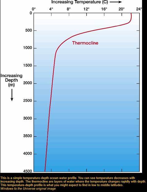 解释'信任温跃层'概念、识别其触发机制,并提供可执行的策略以维护长期客户关系与组织声誉,不再将留存视为问题修补而是根源治理。
