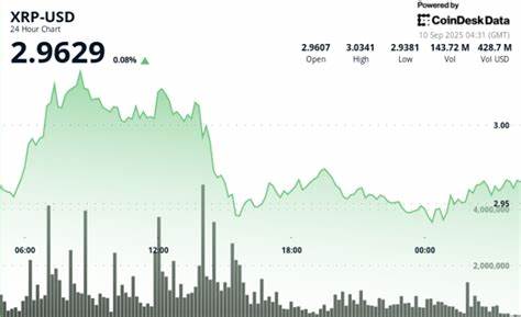 深入分析XRP未能突破3美元大关后的市场反应、技术走势和未来趋势,为投资者提供有价值的参考和展望。
