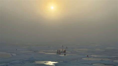 北极海冰快速消退带来的生态连锁反应逐渐显现:海冰藻数量骤减、食物网重组与碳循环改变可能预示着区域性生态系统的深刻转型与全球气候反馈的加速。本文从最新极地考察出发,解析成因、后果与应对方向。
