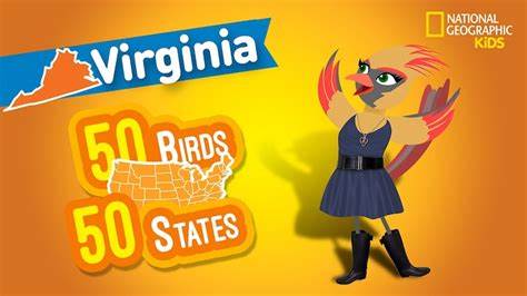 通过国家地理少儿版的《50只鸟,50个州》,孩子们不仅能认识各州的代表性鸟类,更能深入了解美国丰富的历史、地理及文化特色,激发对自然和知识的浓厚兴趣。
