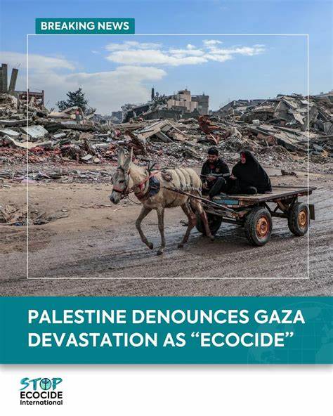 以色列在加沙的生态灭绝:土地、生命与法律的交错危机
